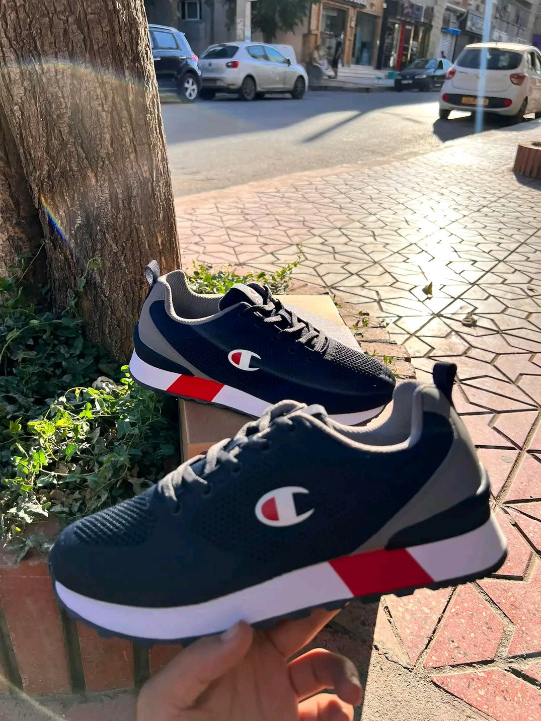 Champion Low Cut S22149