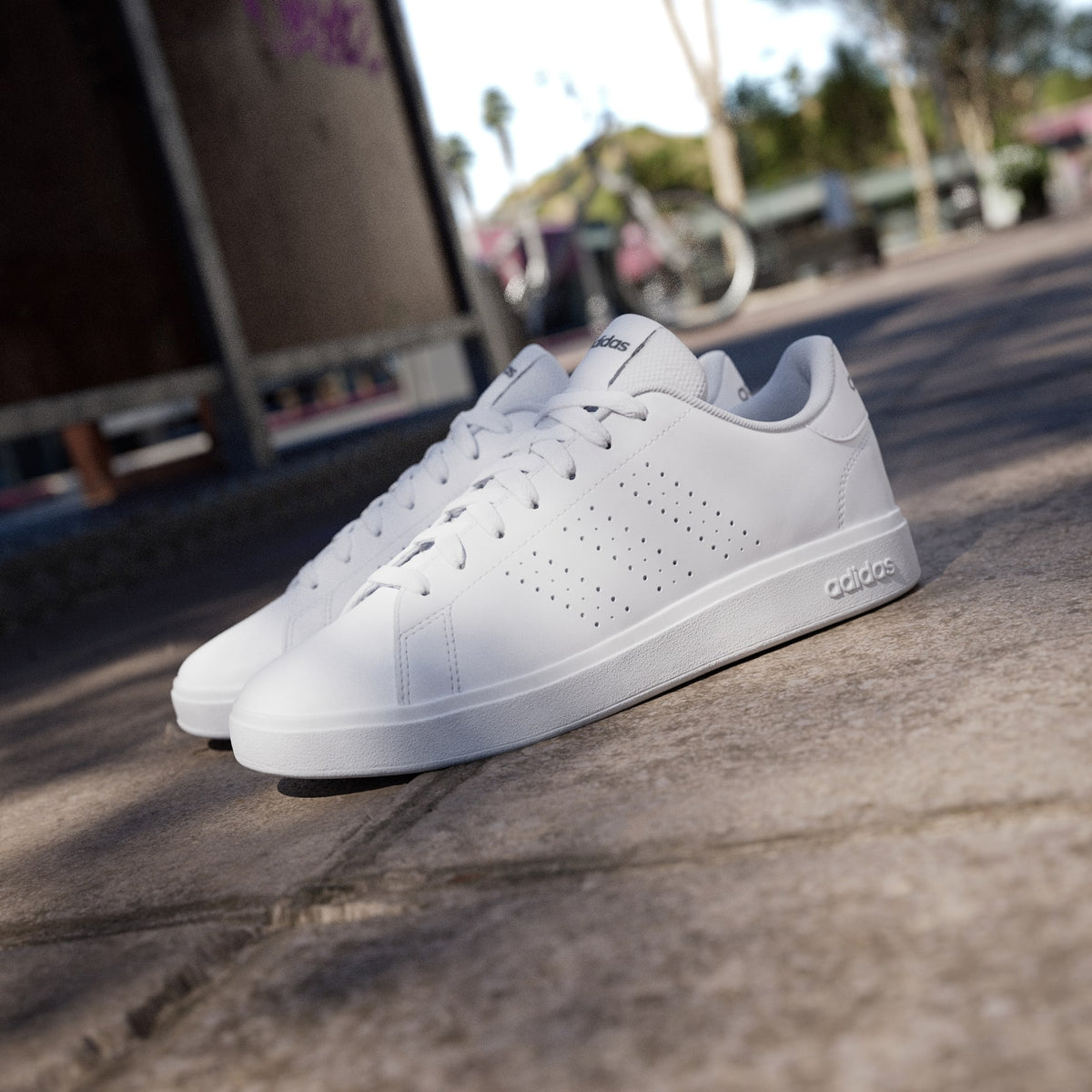 Adidas Advantage Base 2.0