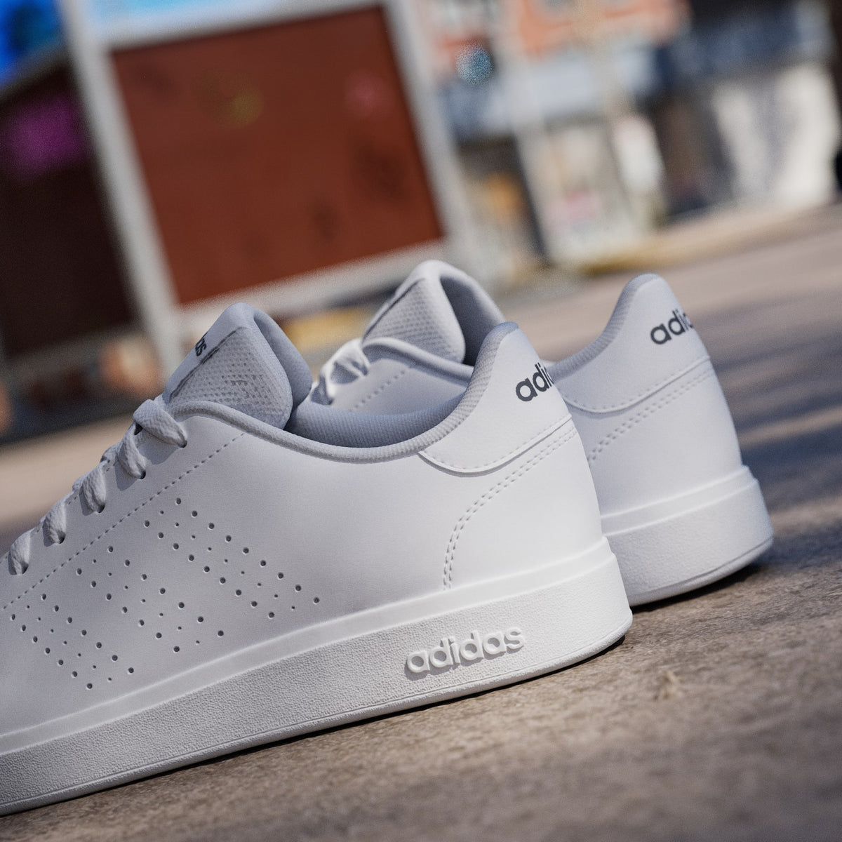 Adidas Advantage Base 2.0