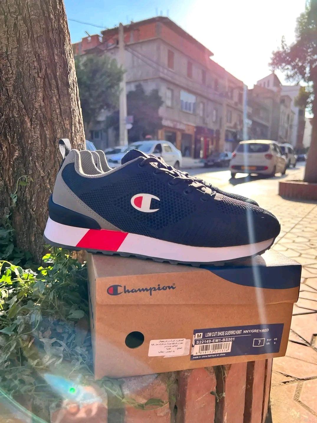 Champion Low Cut   S22149