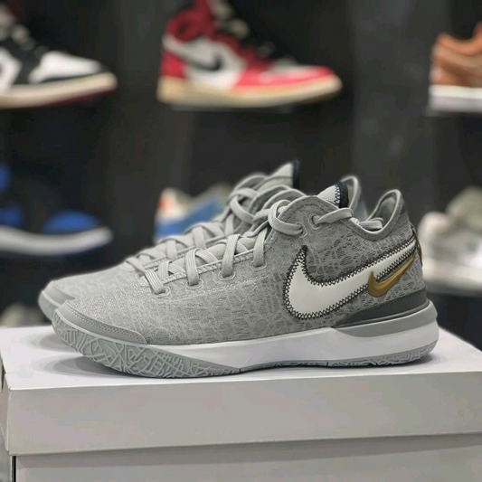 NIKE Zoom LeBron NXXT édition