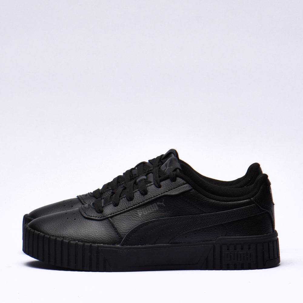 Puma carina 2.0