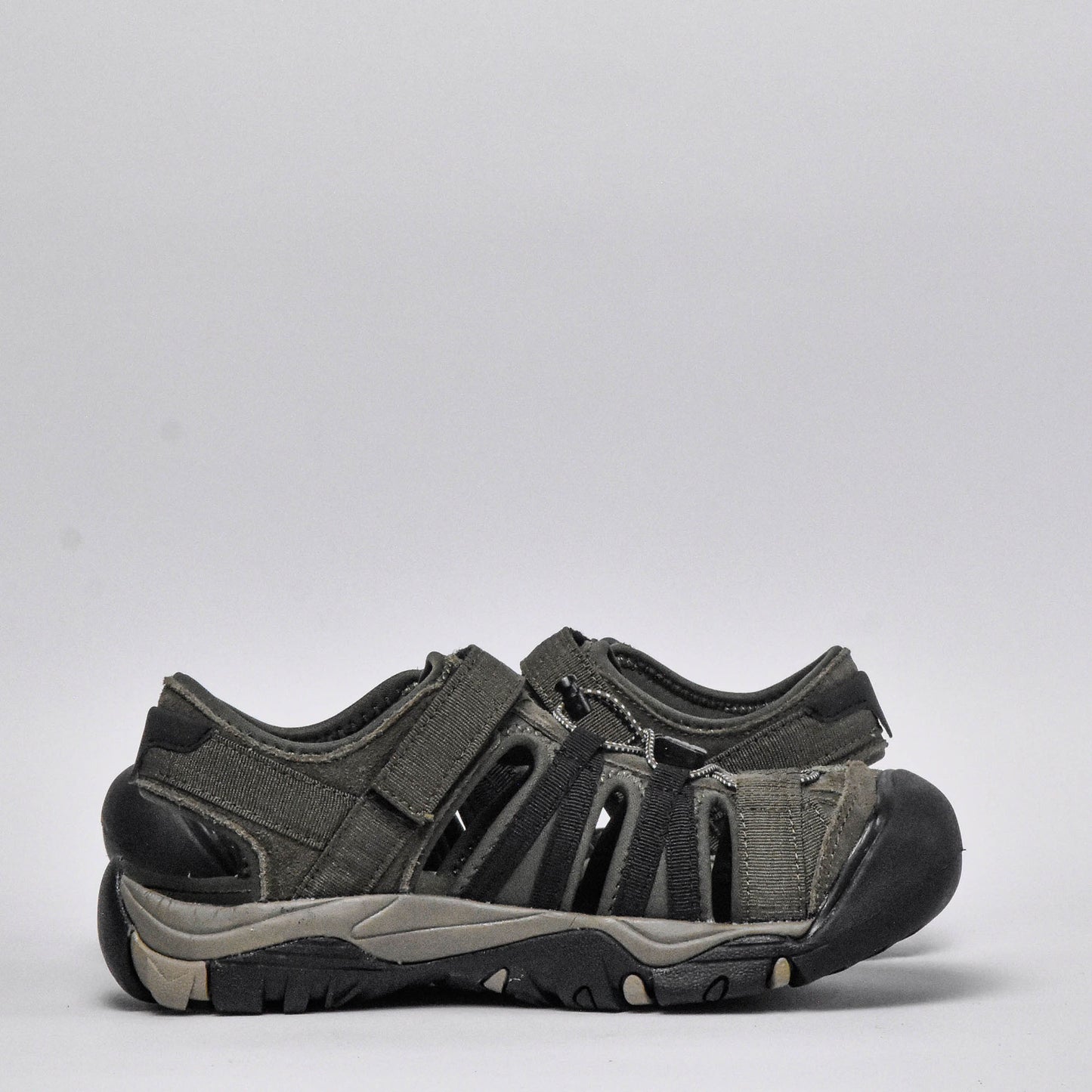 Shaol Bay Sea Turtle-Taupe