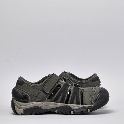 Shaol Bay Sea Turtle-Taupe