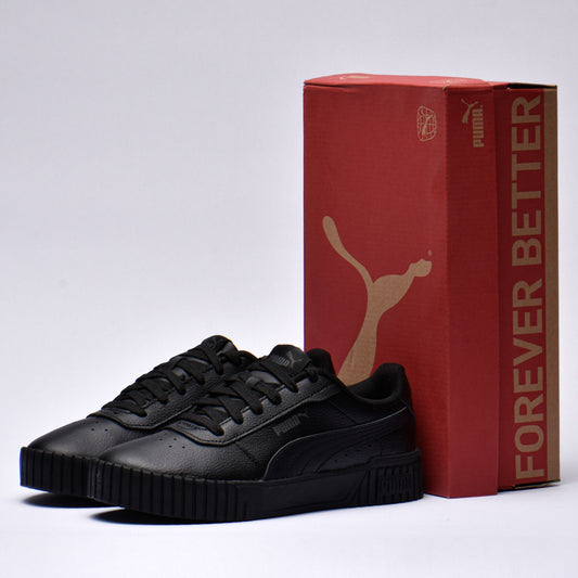 Puma carina 2.0