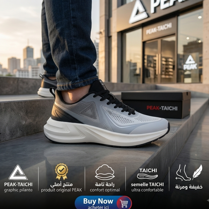 PEAK Taichi  Shoes-Lt.Grey/Black